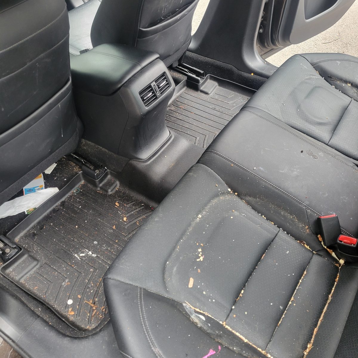 Crumbs, stains, and dirty mats across the rear seat of a Honda Accord before an interior detail